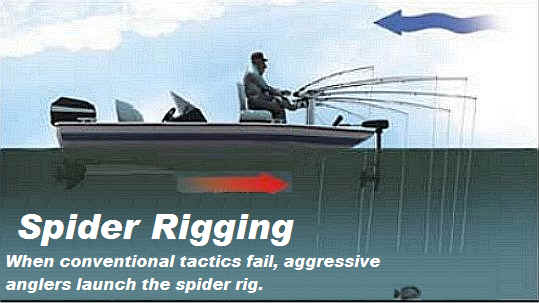 Diy spider rig holders